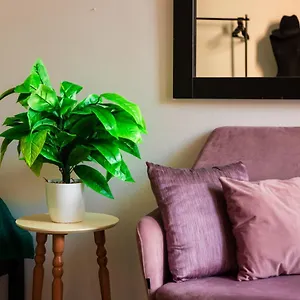  Apartment The Tropical House